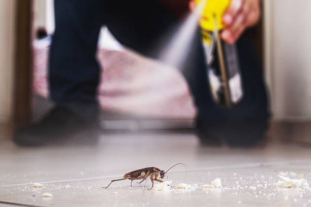 Pest Control Cost in Delhi, LA